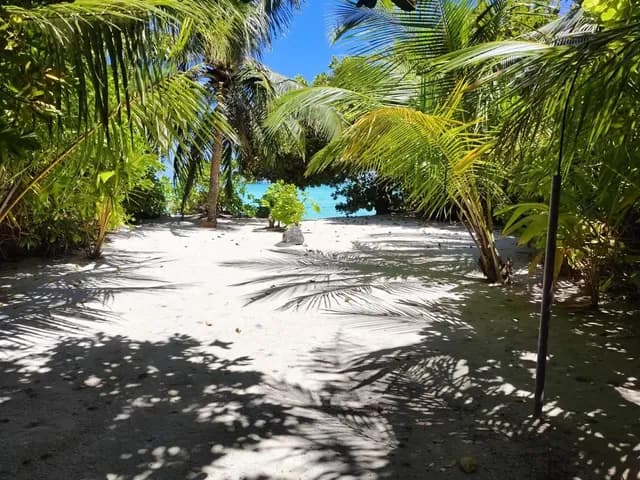 Welcome to Serenity Reef Maldives