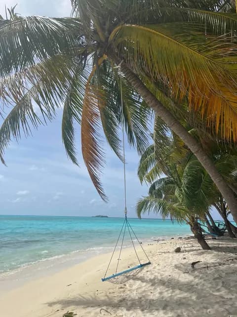 Snorkeling the house reef